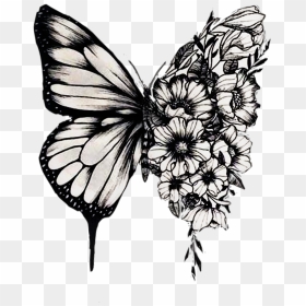 #interesting #tatooart #tat #tatoo #butterfly #shawnmendes - Shawn Mendes Butterfly Tattoo, HD Png Download - butterfly tattoo png