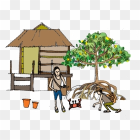 Transparent Mangrove Png - Mangrove, Png Download - mangrove png