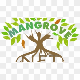 Fine Scale Monitoring Of Mangrove In Indonesia - Mangrove Background Png, Transparent Png - mangrove png