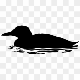 Dont Feed The Ducks Clipart Png Black And White Image - Guillemot Silhouette, Transparent Png - duck silhouette png