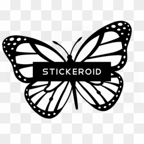 Butterfly With Dots Tattoo , Png Download - Monarch Butterfly Clipart Black And White, Transparent Png - butterfly tattoo png