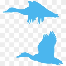 Portable Network Graphics, HD Png Download - duck silhouette png