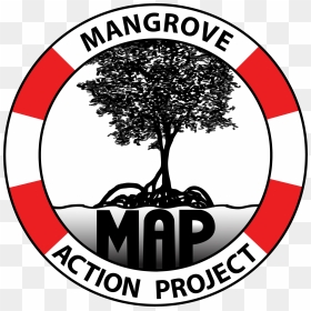 Mangrove Action Project Logo, HD Png Download - mangrove png