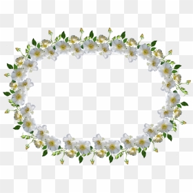 Frame Bunga Mawar Putih, HD Png Download - rosa blanca png