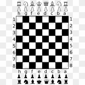 Many Squares Are On A Chessboard, HD Png Download - chess piece png
