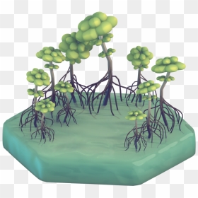 Have A Mangrove Swamp For Day 6 Making The Water Materials - Grass, HD Png Download - mangrove png