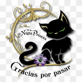 Black Cat, HD Png Download - feliz año nuevo 2018 png