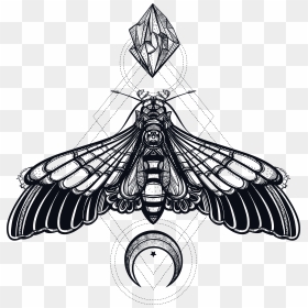 Butterfly Geometry Creative Insect Deaths Head Hawkmoth - Transparent Deaths Head Moth, HD Png Download - butterfly tattoo png