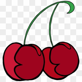 Svgs For Both Of This Colored Cherry Vector And This - Sanam Luang, HD Png Download - cherry vector png