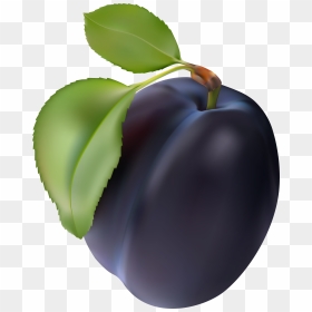 Plum Png Clip Art, Transparent Png - plum png