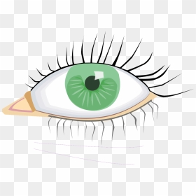 Eye Clip Art, HD Png Download - eye vector png