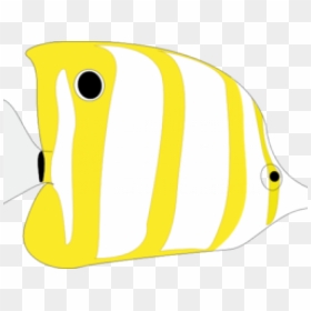 Transparent Marine Biologist Clipart - Tropical Fish, HD Png Download - cute fish png