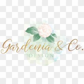 Design , Png Download - Garden Roses, Transparent Png - gardenia png
