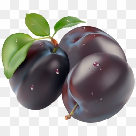 Plum Png Image - Plum Vector Png, Transparent Png - plum png