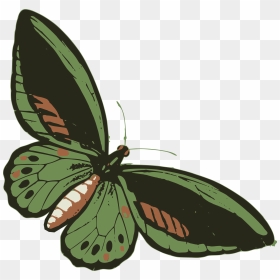 Green Butterfly Clip Arts - Clip Art, HD Png Download - green butterfly png