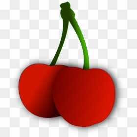 Citrus, HD Png Download - cherry vector png