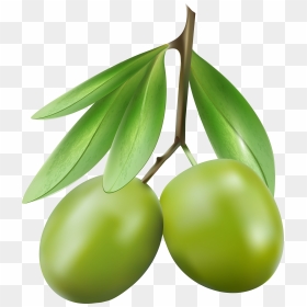 Green Olives Png Clipart , Png Download - Clipart Olive, Transparent Png - olives png