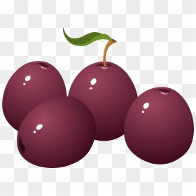 Food Plum Clip Arts - Plums Clip Art, HD Png Download - plum png