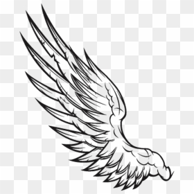 Angel Wing Tattoo Png, Transparent Png - gold angel wings png