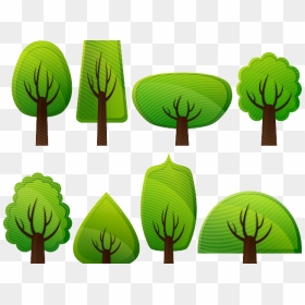 Tree Clipart Clipart Deciduous Tree - Simple Trees Clipart Png, Transparent Png - deciduous tree png