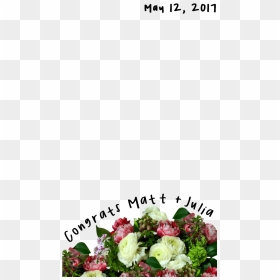 Transparent Snapchat Overlay Png - Garden Roses, Png Download - snapchat overlay png