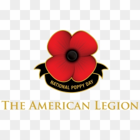 Poppy Clipart American Legion - Poppy, HD Png Download - american legion png