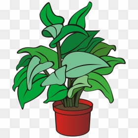 Clipart Of A Plant, HD Png Download - green plant png