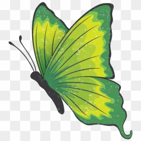 Drawing Brimstone Butterflies With Red Spots Png, Transparent Png - green butterfly png