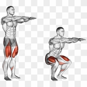 Bodyweight Squat - Bodyweight Squats, HD Png Download - squat png