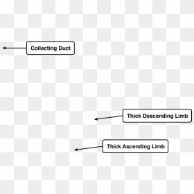 Diagram, HD Png Download - thick line png