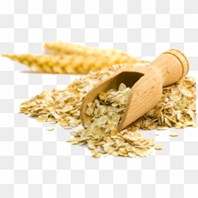 Oats Png Picture - Oatmeal Meaning In Marathi, Transparent Png - oats png