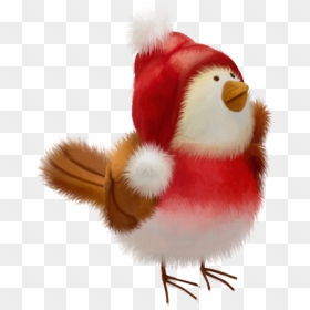 Christmas Bird, Christmas Animals, Christmas Clipart, - Transparent Png Christmas Animals, Png Download - pajaros png