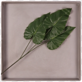 Pl169 - Picture Frame, HD Png Download - ivy wall png