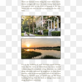 There Are Historic Towns Along The Coast Where Horse-drawn - Reflection, HD Png Download - spanish moss png