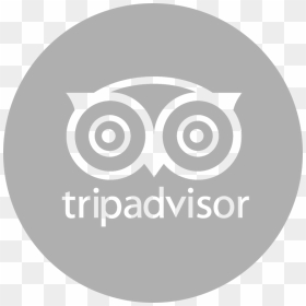 Tripadvisor Llc, HD Png Download - trip advisor logo png