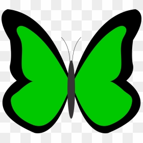Green Butterfly Clipart - Clipart Green Butterfly, HD Png Download - green butterfly png