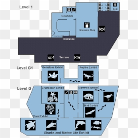 Museum Floor Plans - Bird Museum Floor Plan, HD Png Download - floor plan png