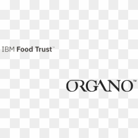 Calligraphy, HD Png Download - ibm logo white png