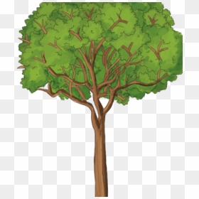 - Post Oak , Png Download - Post Oak, Transparent Png - pajaros png