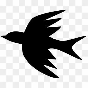 Ave Contorno, HD Png Download - bird outline png