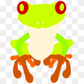 Red-eyed Tree Frog , Png Download - Frogs, Transparent Png - tree frog png