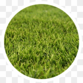 Circle, HD Png Download - grassy hill png
