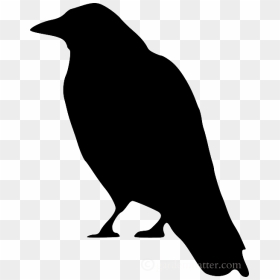 Crow Clip Art, HD Png Download - bird outline png