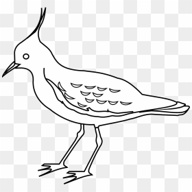 Clipart Birds Outline, HD Png Download - bird outline png