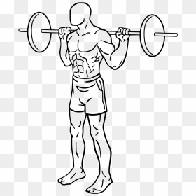 Drawing Of Bicep Curl, HD Png Download - squat png