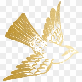 #freetoedit #ftesticker #gold #goldfoil #foil #bird - Gold Bird Png, Transparent Png - bird outline png