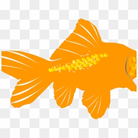 Clip Art, HD Png Download - goldfish cracker png