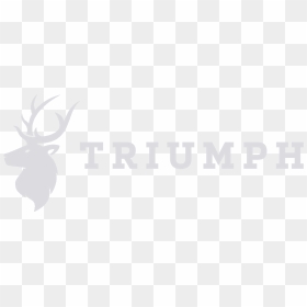 Graphic Design, HD Png Download - triumph logo png