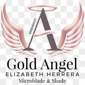 Beauty Angels Academy Png, Transparent Png - gold angel wings png