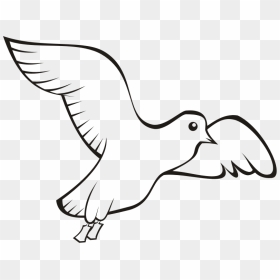 Bird In Flight 2 - Domestic Birds Outline Drawing, HD Png Download - bird outline png